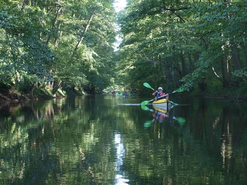 Spływ kajakowy Obra: najlepsze trasy i atrakcje, które musisz znać