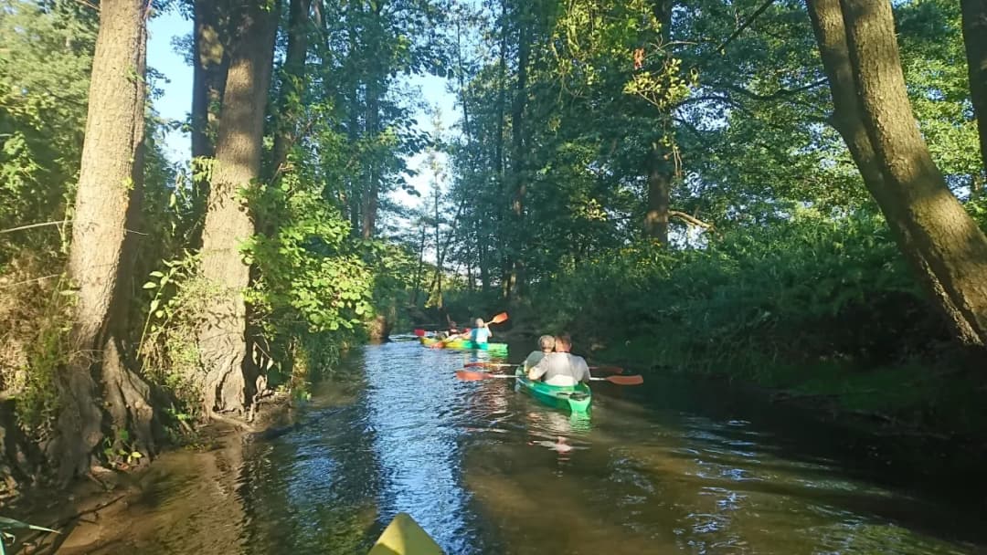 Spływy kajakowe na Roztoczu - najlepsza przystań nad Wieprzem