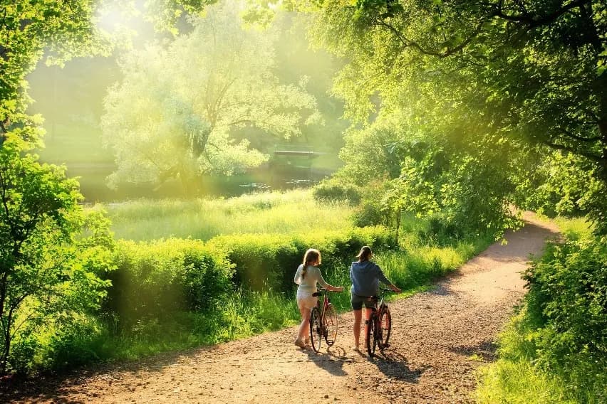 Najlepsze trasy rowerowe w Zamości – odkryj ukryte skarby regionu