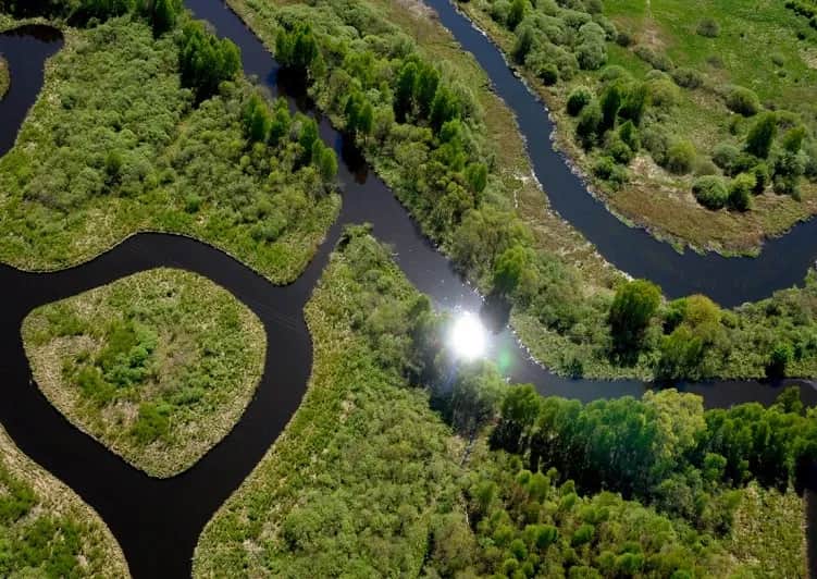 Cennik spływów kajakowych Drawą – poznaj najlepsze oferty i ceny