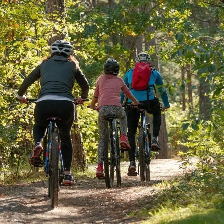 Najlepsze trasy rowerowe w Dębkach – gdzie jechać i co zobaczyć na rowerze