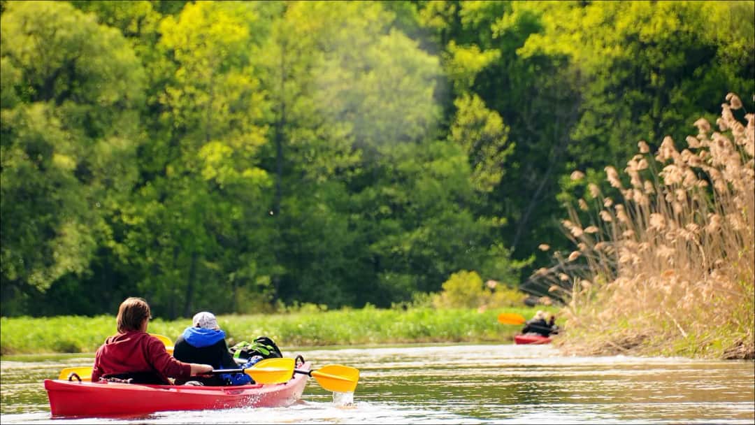 Ile kosztuje spływ kajakiem? Ceny, które mogą Cię zaskoczyć