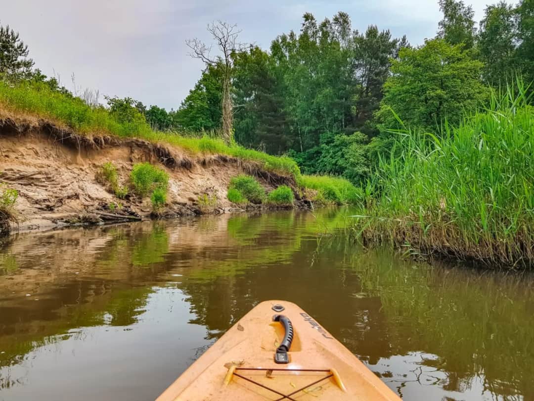 Spływ kajakowy Rudy: trasy, porady i atrakcje, które musisz poznać przed wyprawą