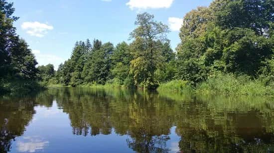 Spływ kajakowy Radawa - najlepsze trasy i porady dla początkujących