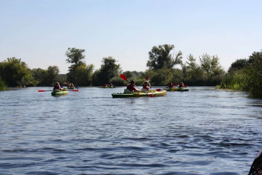 Spływ kajakowy Białobrzegi: idealna trasa na Pilicy bez stresu
