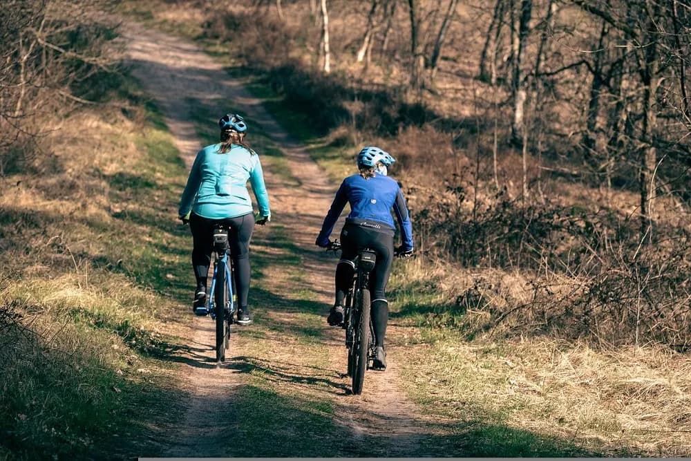 Najlepsze trasy rowerowe w Rudzie Śląskiej – gdzie jechać i co zobaczyć na rowerze