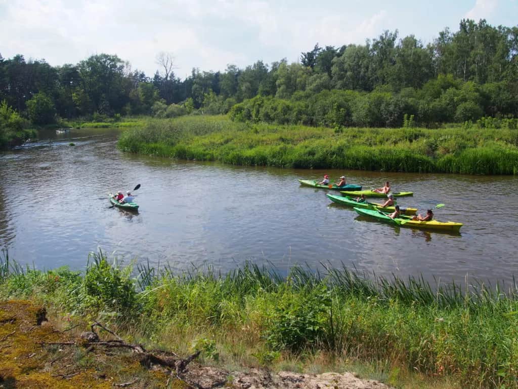 Spływ kajakowy Nidą: trasy, ceny, wypożyczalnie i praktyczne porady dla każdego