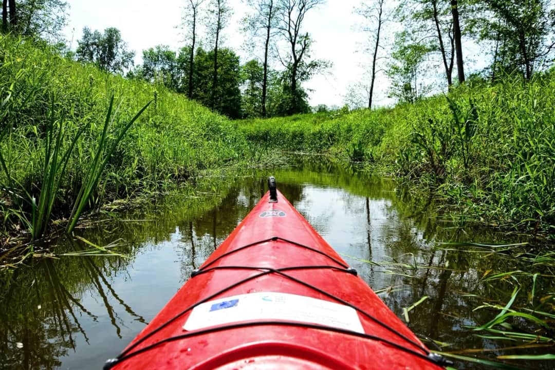 Gdzie na kajaki blisko Warszawy? Odkryj idealne trasy na spływ