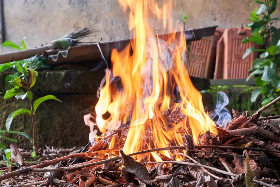 Czy można rozpalić ognisko na podwórku? Sprawdź przepisy i bezpieczeństwo