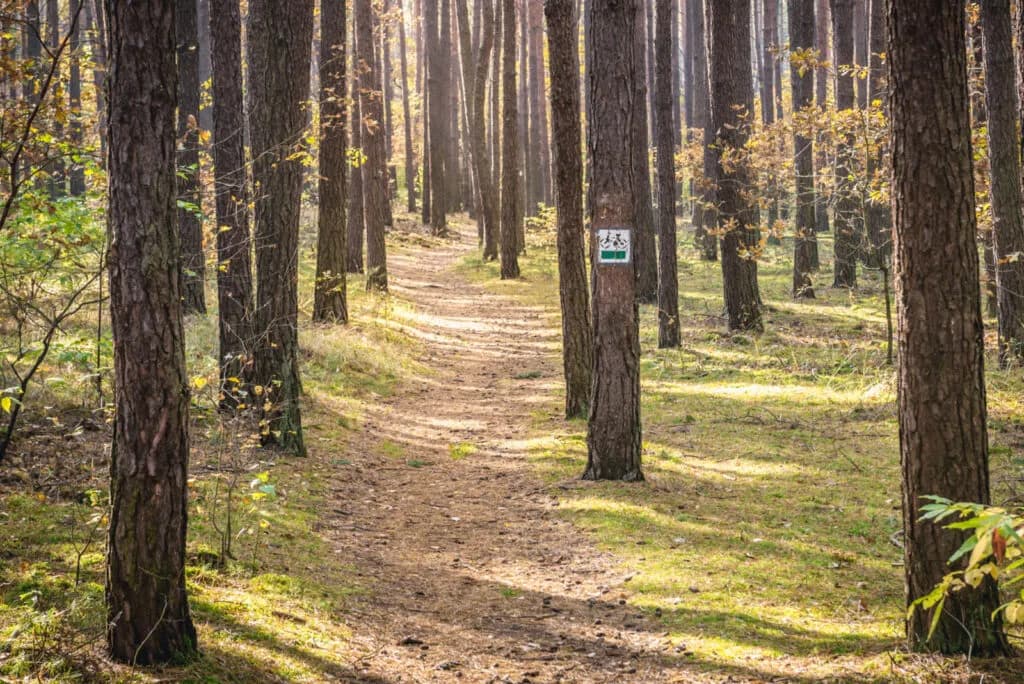 Najpiękniejsze trasy rowerowe na Mazowszu, które musisz zobaczyć w tym sezonie