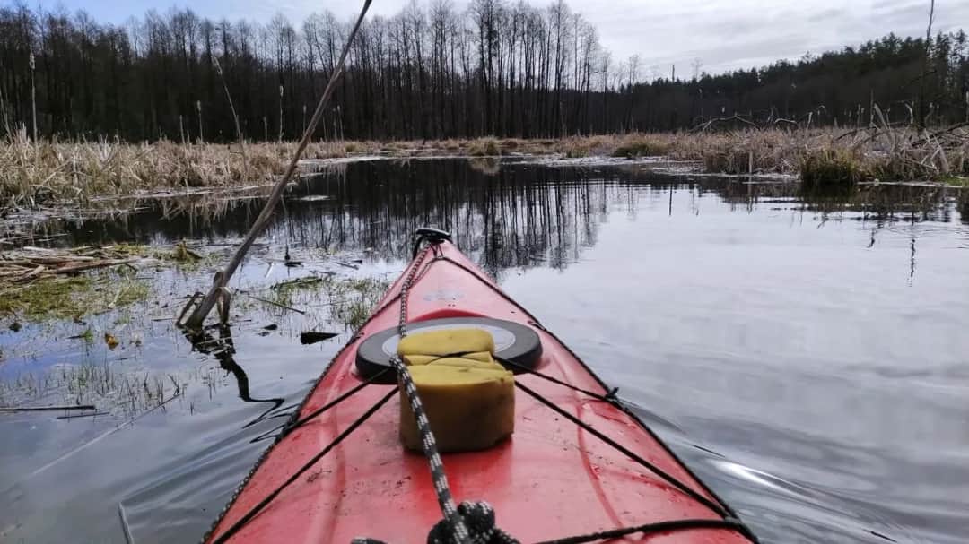 Spływy kajakowe Drwęcą: Najlepsze trasy i atrakcje w okolicy