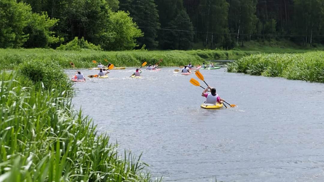 Najlepsze miejsca na kajaki na Podkarpaciu – trasy, wypożyczalnie i atrakcje