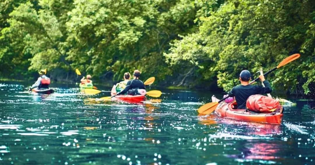 Spływ kajakowy Amazonka: malownicze trasy i praktyczne porady
