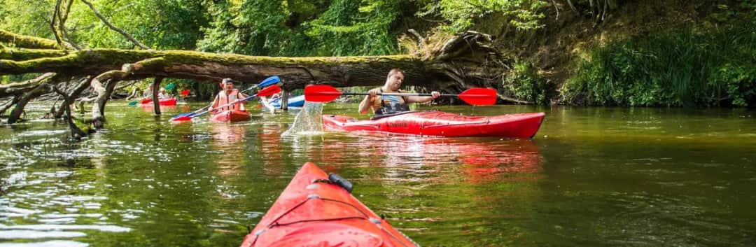 Rzeka Drawa spływ kajakowy - najlepsze trasy i ważne informacje