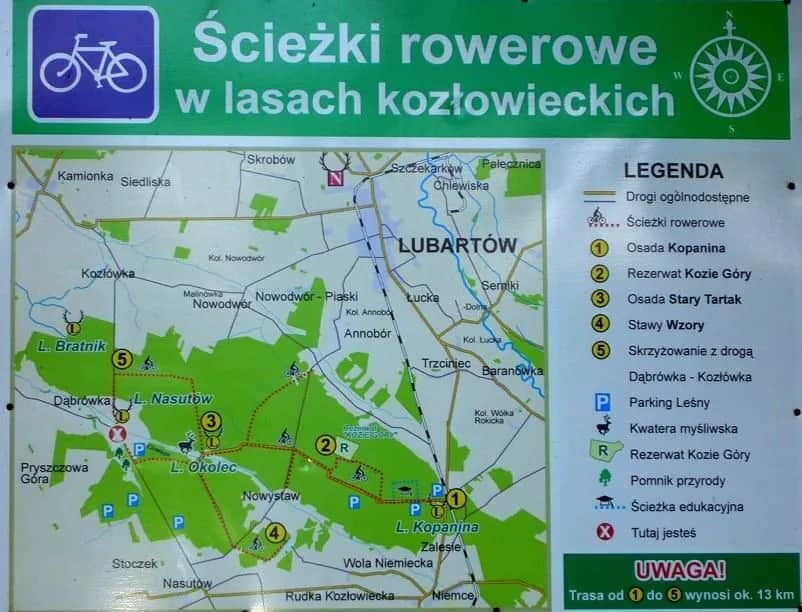 Lasy Kozłowieckie trasy rowerowe – najpiękniejsze szlaki i atrakcje