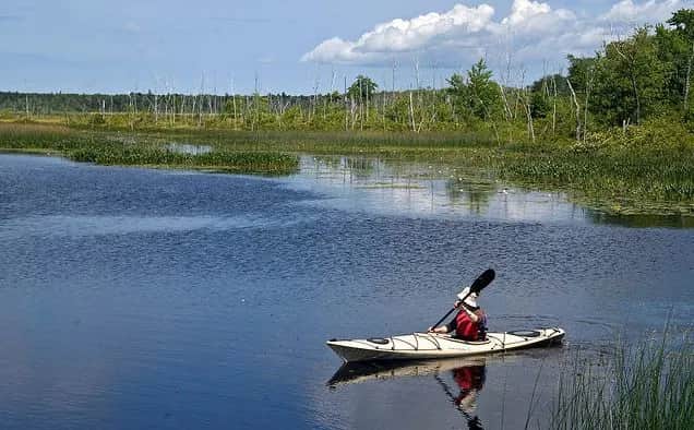 Mazury kajaki gdzie - najlepsze miejsca na spływy kajakowe
