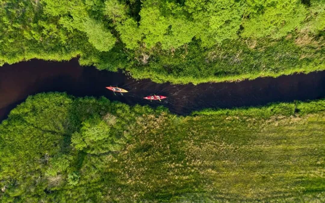 Spływ kajakowy Gdańsk - poznaj najpiękniejsze trasy i atrakcje