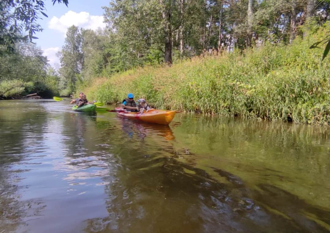 Spływ kajakowy Ostróda: najlepsze trasy, ceny i porady dla kajakarzy