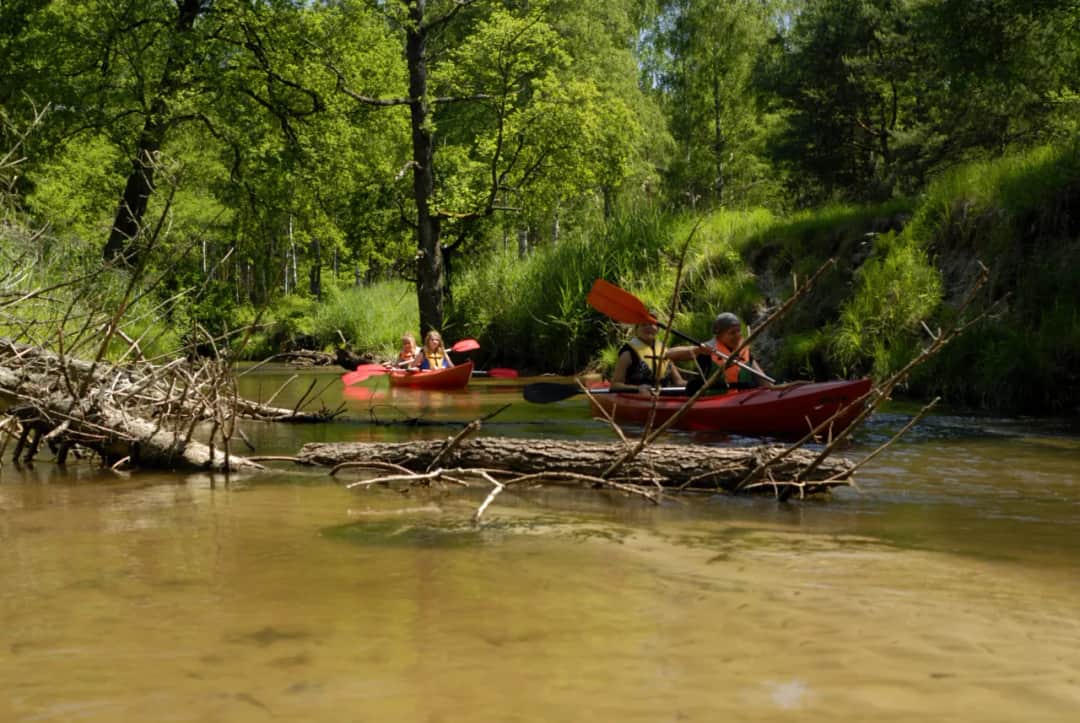 Spływy kajakowe Tanew i Roztocze Szumi-Gaj – trasy, ceny i porady dla początkujących
